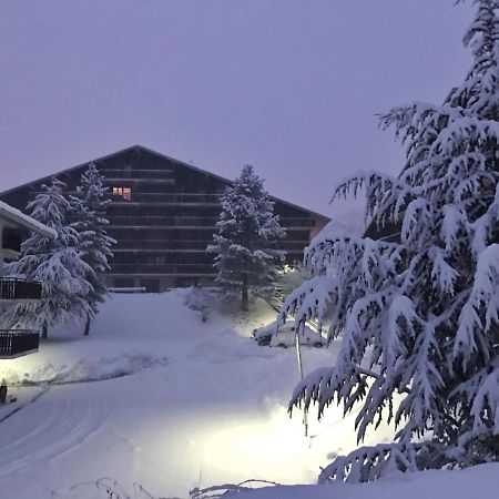 Auron Montain View Apartman Kültér fotó